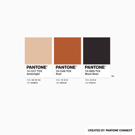 Color Identity, Branding Examples, Pantone Colour Palettes, Palette Design, Pantone Colors, Black Peach, Summer Mood, Color Palette Design, Poor People