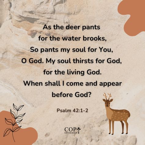 Psalm 42:1-2, Psalm 42 1, As The Deer, Psalm 42, Daily Verses, Living Water, Quotes About God, Psalms, Bible Verses