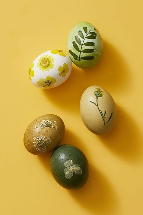 easter egg design Pressed Flower Easter Eggs Easy Easter Egg Decorating Ideas, Flower Easter Eggs, Simple Easter Egg Designs, Shaving Cream Easter Eggs, Easter Egg Ideas, Animal Easter Eggs, Easter Egg Decorating Ideas, Natural Easter Eggs, Egg Decorating Ideas