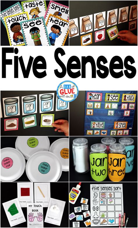 Engage your class in an exciting hands-on experience learning the five senses! Perfect for science activities for Kindergarten, First Grade, and Second Grade classrooms and packed full of inviting science activities. Students will learn five senses science lessons through poems, hands-on senses lessons, and inviting senses printables. This pack is great for homeschoolers, unit studies, and includes science lesson plans! Science Activities For Kindergarten, Science Activities For Toddlers, Five Senses Preschool, 5 Senses Activities, Senses Preschool, Toddler Lessons, Senses Activities, Lesson Plans For Toddlers, The Five Senses