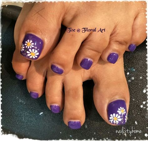 Pedicure Purple Design, Easter Toenails Design, Purple Toenail Designs, Daisy Pedicure Toes, Toenail Painting Ideas, Purple Toe Nails Ideas, Purple Toes Designs, Easter Toes Nails, Daisy Toe Nails