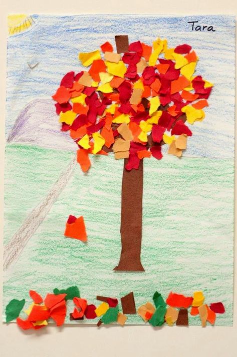 Fall Torn Paper Art, Torn Paper Fall Tree, Fall Tree Art Preschool, Fall Trees Art Projects For Kids, Collage Activities For Preschoolers, Tree Art Kindergarten, Fall Art Projects Kindergarten, Fall Tree Art Projects For Kids, Fall Kindergarten Art