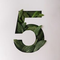 Personal Essay, Herb Lubalin, Number Five, Japanese Typography, Chinese Typography, Drop Cap, 3d Typography, Image Nature, Nature Posters