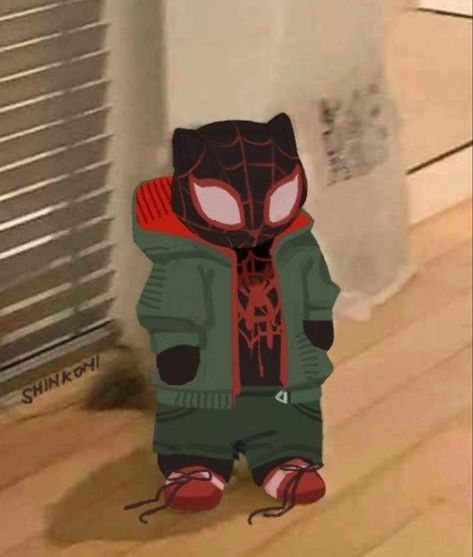 Miguel Fanart, Cat Spiderman, Pfp Spiderman, Spiderman Anime, Spiderman And Spider Gwen, Spiderman Meme, Lego Spiderman, Art Spiderman, Spiderman Spiderverse