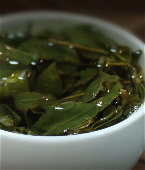 Organic Tea Brands, Taiwan Tea, Tea Website, Asian Tea, Healing Tea, Taiwanese Food, Camellia Sinensis, Tea Culture, Tea Brands