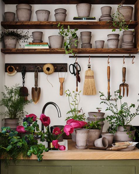 Terracotta pots are a popular choice for growing plants as they have the ideal combination of porosity, helping with proper drainage and ventilation, and they are durable if good taken care of. ⁠ ⁠ And, why not start a new gardening adventure by planting easy-peasy plants or favourite herbs and fruits like dill, mint, peas, strawberries, or leaf lettuce in pots? ⁠☀️🌱🥬🍓🫛⁠ ⁠ ⁠Read more about terracotta gardening in our journal. ⁠ ⁠📷@bergspotter⁠ Lettuce In Pots, Mint Peas, Leaf Lettuce, Pea Plant, Patio Inspiration, Strawberry Patch, Porous Materials, Seasonal Garden, Growing Tomatoes