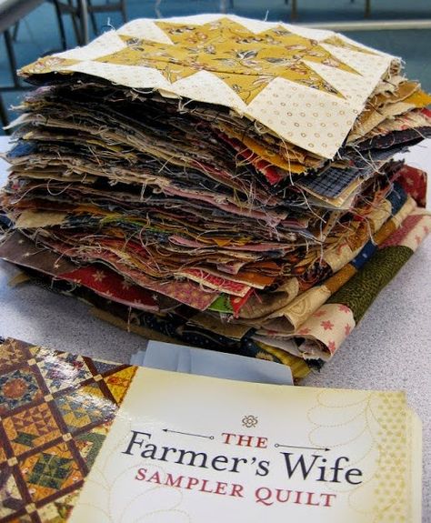 Farmer's Wife Quilt Revival Class 9 is now available...see my blog post here! Farmers Wife Quilt, Farmers Wife, Waistcoat Woman, Class 11, Class 9, Farmer Wife, Queen Size Quilt, Sampler Quilt, Quilting Techniques