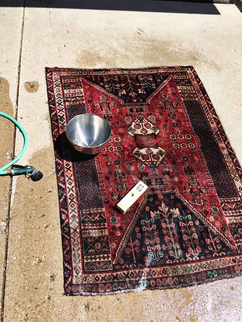 Washing a Persian Rug with Hose and Soap How To Clean A Runner Rug, How To Wash A Rug At Home, How To Wash Rugs At Home, Diy Rug Cleaning, How To Clean A Wool Rug, How To Wash Rugs, Rug Cleaning Diy, Clean Wool Rug, Redo House