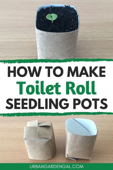 How To Make Toilet Roll Pots - Urban Garden Gal Toilet Roll Plant Pot, Toilet Roll Planters, Starting Seeds In Toilet Paper Rolls, Toilet Paper Roll Planters, Toilet Paper Roll Planter Seed Starting, Toilet Paper Roll For Seedlings, Paper Seedling Pots, Planting Seeds In Toilet Paper Rolls, Recycled Planters Upcycling