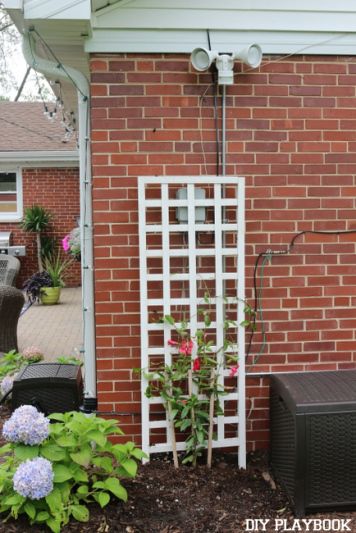 Hide your electrical box with a white trellis and vines. No more eye sore on the outside of your home! Backyard Updates, Electric Panel, Hiding Ugly, White Trellis, Electrical Box Cover, Backyard Cottage, Diy Playbook, Outdoor Privacy, Decks Backyard