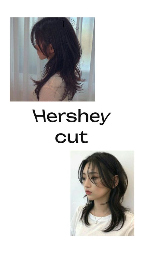 Hershey Cut, Haircut Ideas Trendy, Cute Wolf, Wolf Haircut, Pose Fotografi, Trendy Hairstyle, Korean Fashion Trends, Hair Inspo Color, Haircut Ideas