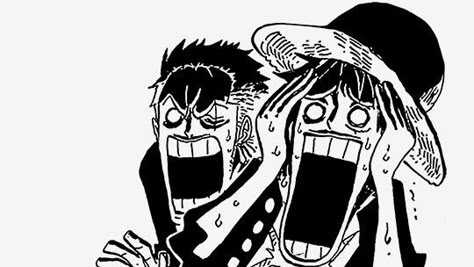 One Piece D, One Piece Art, One Piece Funny, One Piece Pictures, Straw Hats, One Piece Luffy, Roronoa Zoro, One Piece Manga, One Piece Anime