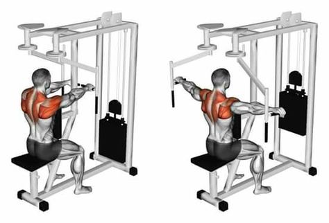 Reverse Butterfly(?) Rear Delt Exercises, Push Day Workout, Deltoid Workout, Reverse Fly, Upper Back Exercises, Free Workout Plans, Push Workout, Push Day, Rear Delt