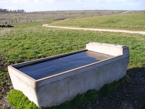 Water Trough, Stock Tank, Surface Water, Outdoor Storage Box, Outdoor Furniture, Outdoor Decor, Water, Furniture, Home Decor