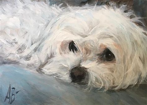 Chien Shih Tzu, Dog Portraits Painting, Dog Portraits Art, Dog Pop Art, Puppy Art, 강아지 그림, Maltese Dogs, White Dog, White Dogs