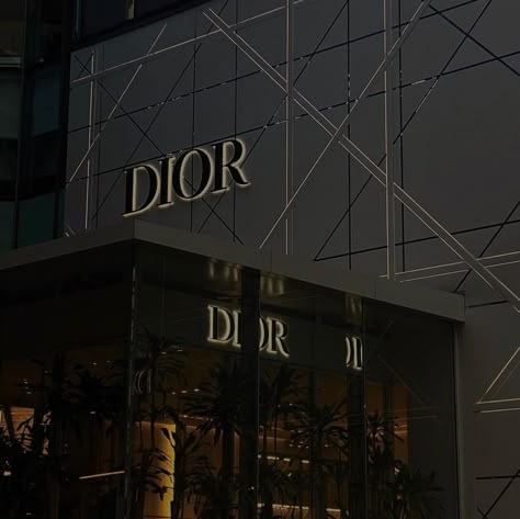 Black Dior Aesthetic, Christian Dior Wallpaper, Dior Wallpaper, Chanel Aesthetic, Dior Shop, Mommy And Baby Pictures, Dior Aesthetic, Rich Aesthetic, Dark Modern