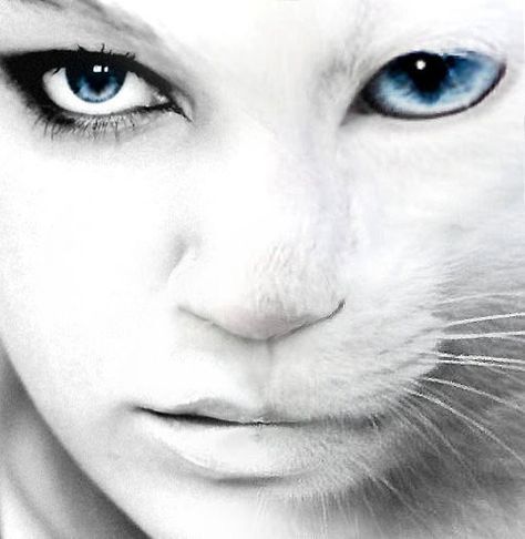 Cat and human morphing. Face Geometry, Trucage Photo, Jungle King, Inside Cat, Story Inspiration, Foto Inspiration, Cat Girl, White Cat, Writing Inspiration