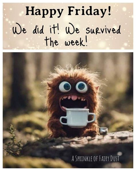 Tgif Humor Happy Friday, Friday Morning Coffee, Happy Friday Humour, Encouragement Box, Friday Memes, Friday Morning Quotes, Friday Post, Friday Coffee, Inspirational Good Morning Messages