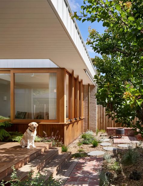 Sunken Lounge, Backyard Renovation, West Facing Garden, California Bungalow, Bungalow Renovation, Backyard Renovations, House Extension Design, Nordland, Australian Architecture