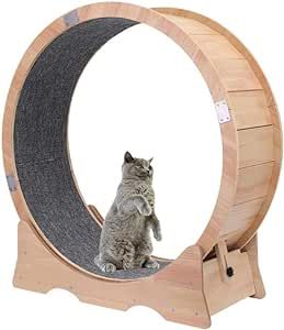 Cat Running Wheel, Cat Treadmill, Cat Running, Cat Exercise Wheel, Silent Running, Cat Repellant, Cat Exercise, Exercise Wheel, Work Space Decor