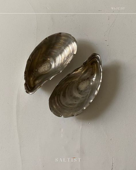 A Saltist Mood. Discovering beauty in the everyday. ⁠ #mood #elevatedliving #beautyineverything Oyster Bowl, Oyster Jewelry, Oyster Shells, Upcycled Furniture, Jewelry Holder, Vintage Home Decor, Interior Architecture, Home Accents, Home Interior Design