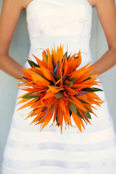 Unique wedding bouquet from my wedding. My wife's favorite flower didn't lend to an easy bouquet, but the Bird of Paradise was stunning at our beach wedding. Bird Of Paradise Wedding, Tropical Bridal Bouquet, Arreglos Ikebana, Unique Wedding Bouquet, Tropical Flower Arrangements, Paradise Wedding, Orange Bouquets, Orange Wedding Flowers, Birds Of Paradise Flower