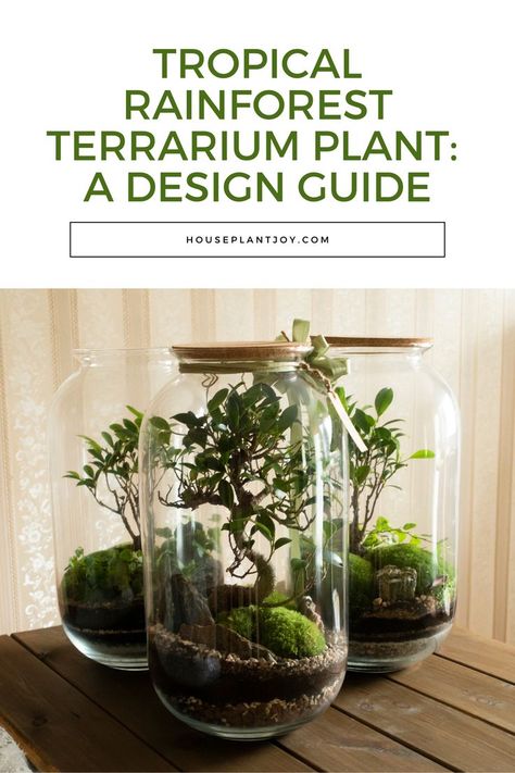 🌿🌺 Welcome to the lush world of "Tropical Rainforest Terrariums," where vibrant nature and the joy of creating a mini-ecosystem come together! #RainforestTerrariums #MiniEcosystems #IndoorJungle Rainforest Terrarium, Forest Terrarium, Mini Ecosystem, Tropical Terrariums, Terrarium Plant, Indoor Jungle, Terrarium Plants, Rain Forest, Tropical Rainforest