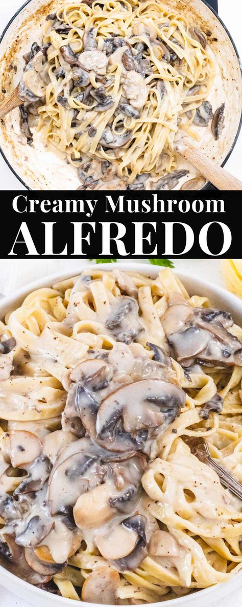 Fettucini Alfredo Mushroom Recipe, Non Dairy Food Recipes, Vegetarian Alfredo Sauce, Alfredo Pasta With Mushrooms, Alfredo Sauce With Mushrooms, Healthy Veg Pasta Recipes, Vegetable Fettuccine Alfredo, Vegan Creamy Pasta Recipes, Alfredo Pasta Recipes Vegetarian