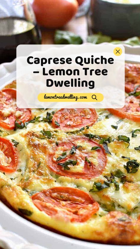 This Caprese Quiche is the ultimate summer breakfast! Loaded with fresh tomatoes, basil, and mozzarella cheese, it comes together quickly and has all the best flavors of summer! And...it's not just for breakfast. This Caprese Quiche makes a great lunch or dinner, too! Caprese Quiche, Lemon Tree Dwelling, Summer Breakfast, Tomato Mozzarella, Lemon Tree, Fresh Tomatoes, Family Friendly Meals, Mozzarella Cheese, Brunch Recipes