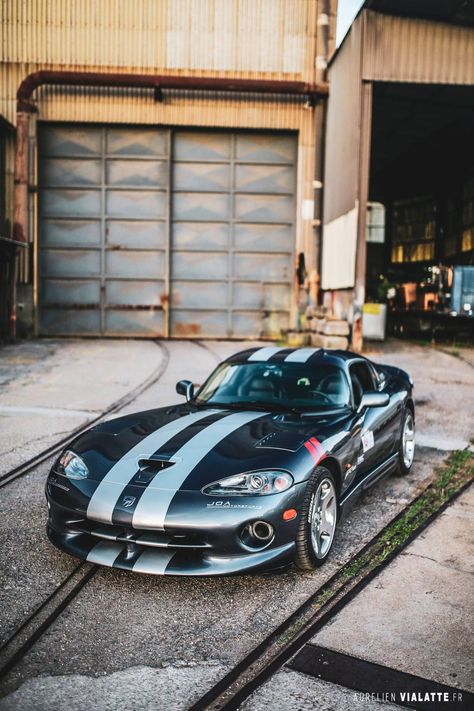 Dodge Viper GTS Dodge Viper Gts, Viper Gts, Dodge Srt, Dodge Muscle Cars, Dodge Viper, Muscle Cars, Dodge, Ram, Bmw Car