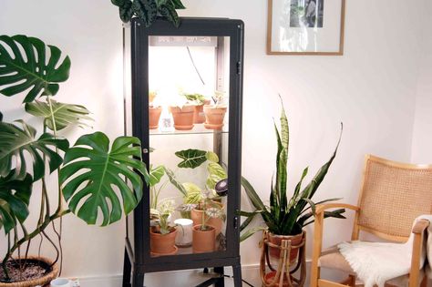 Ikea Glass Door Cabinet, Ikea Fabrikor, Vitrine Ikea, Ikea Greenhouse Cabinet, Greenhouse Cabinet, Ikea Greenhouse, Ikea Garden, Ikea Plants, Best Grow Lights