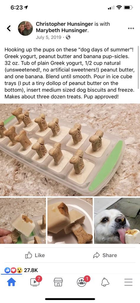 Dog Popsicles, Treat Business, Caldwell Idaho, Pet Treats Recipes, Dog Craft, Easy Dog Treat Recipes, Frozen Dog Treats, Easy Dog Treats, Healthy Dog Treats Homemade