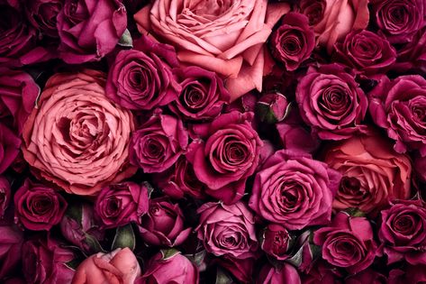 Light Pink and Dark Pink Roses Earth Rose Flowers Flower Pink Flower Wallpaper Pink Rose Wallpaper Hd, Facebook Cover Photos Flowers, Pink Roses Background, Wallpaper Rosa, Rose Pic, Facebook Cover Images, Pink Flowers Wallpaper, Rose Background, Pastel Roses