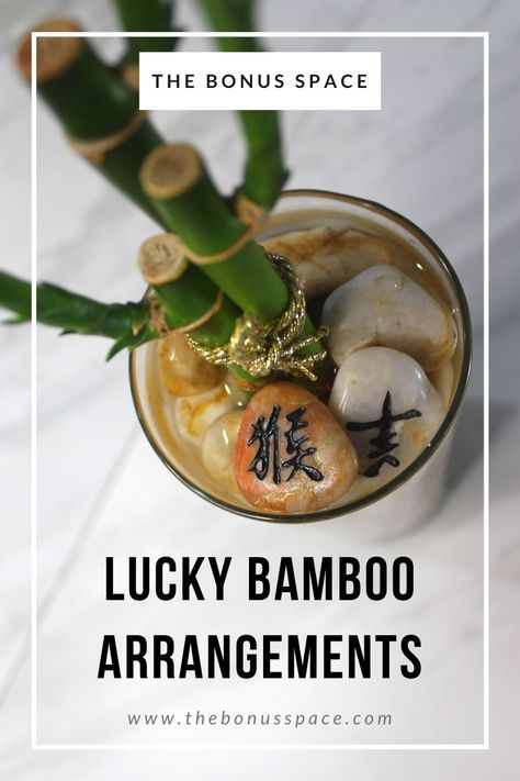 These simple and easy-to-make DIY lucky bamboo arrangements are the perfect gift for friends and family to help bring them some good luck in the new year! You can also direct a little good fortune and feng shui your way by creating a lucky bamboo for yourself! Check out the link below for the full tutorial! #bonusspace #luckybamboo #goodluck #goodfortune #fengshui #fengshuitips #diy #diycrafts #lowmaintenanceplants #lowlightplants #houseplants #lunarnewyear #lunarnewyear2021 #bamboo Bamboo Plant Decor Ideas, Bamboo Arrangement Ideas, Lucky Bamboo Arrangements, Tall Bamboo Plant Indoor, Lucky Bamboo Decor, Bamboo Plant Indoor, Indoor Bamboo Plant, Bamboo Plant Decor, Bamboo House Plant