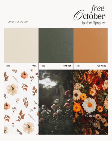 🍁 Ready to give your iPad some cozy fall vibes? 🎃 Swipe through to check out these free October wallpapers! Whether you’re into pumpkins, leaves, or just love those warm autumn colors, we’ve got the perfect design for your home screen and lock screen. 🍂✨ Want one? Link in bio or comment “fall” and I will DM you the link 🎨💻 #freewallpaper #ipadwallpaper #fallvibes #october #cozyvibes October Wallpapers, Cozy Fall Vibes, October Wallpaper, Autumn Colors, Warm Autumn, Home Screen, Lock Screen, Free Wallpaper, Ipad Wallpaper