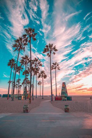 For this photo, the colours of the famous graffiti palm trees in Venice Beach compliment the colours created in the sky from the sunset. Make sure you move around and take shots from different angles and locations. This way you are done shooting you have a variety of photos and not just the same shots from a single spot. And don’t leave too early! Sometimes after the sun has fully set the sky lights up with amazing colours. The last thing you want is watch the sky light up while you are drivi... Photo Wall Collage, California Dreamin', California Dreaming, Alam Yang Indah, Summer Photos, Venice Beach, Summer Travel, Beautiful Sunset, Beach Life