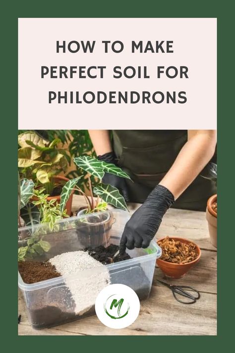 How to Make Perfect Soil for Philodendrons Tropical Plant Soil Mixture, Heart Leaf Philodendron, Orchid Bark, Philodendron Plant, Organic Compost, Soil Ph, Fast Growing Plants, Plant Decor Indoor, Peat Moss