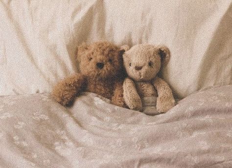 Jellycat Wallpaper, Aesthetic Jellycat, Bear Widget, Blondie Lockes, Bear Aesthetic, Teddy Bear Wallpaper, Teddy Bear Pictures, Brown Teddy Bear, Bear Pictures