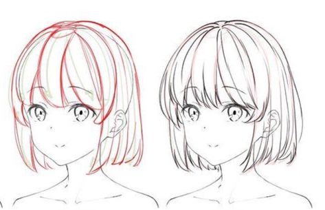 Anime Hair Guide, Anime Hairstyles Female Hair Reference Short, Hairline Drawing Reference Female, Anime Short Hair Reference, Short Hair Anime Drawing, How To Draw Short Hair Female, Anime Hair Reference Female Short, Short Hair Reference Drawing Female, Female Short Hair Drawing