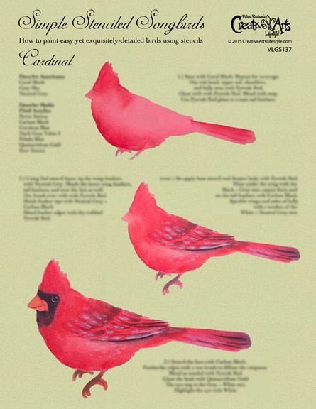 Painting Cardinals, Red Bird Painting, Bird Painting Acrylic, Cardinal Painting, Bird Stencil, Painting Canvases, Learn How To Paint, Bird Painting, Red Bird