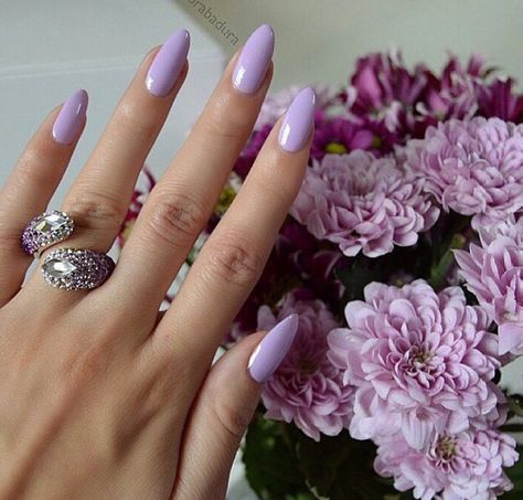 Lavender almond nails                                                                                                                                                                                 More Nails Pastel, Lilac Nails, Pastel Lavender, Lavender Nails, Almond Nails Designs, Almond Nail, Super Nails, Art Pastel, Ideas Nails