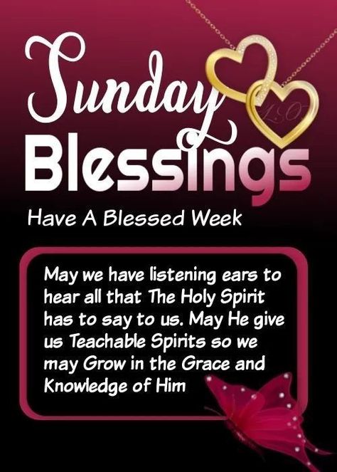 Sunday Afternoon Blessings, Good Sunday Afternoon, Afternoon Blessings, Sunday Morning Prayer, Bible Verses About Prayer, Have A Blessed Week, Sunday Blessings, Morning Sunday, Happy Sunday Quotes