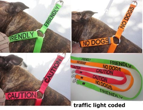 FINALLY FOUND A PLACE WHERE YOU CAN BUY THE LEASHES!!! http://dogspired.com/color-coded-system-for-dog-collars-and-leashes/ Dog Advertising, Different Pictures, Genius Ideas, Mans Best Friend, Dog Leash, Dog Owners, Essie, Dog Friends, Pet Care