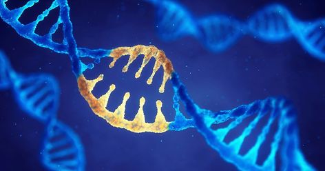 Reversible Gene Editing Is On The Horizon | Freethink Female Hormone Imbalance, Dna Molecule, Human Genome, Genetic Diseases, Egg Donation, Genetic Engineering, Gene Therapy, Genetic Mutation, Saint John