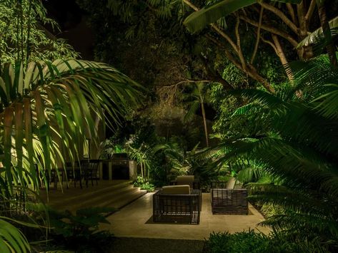 This modern patio features tropical landscaping around a cozy outdoor sitting area and a gorgeous pool illuminated with blue lighting. Tropical Landscape Lighting, Modern Landscape Lighting, Small Tropical Gardens, Tropical Patio, Light Landscape, Landscape Lighting Design, Tropical Backyard, Outdoor Sitting Area, Lighting Concepts