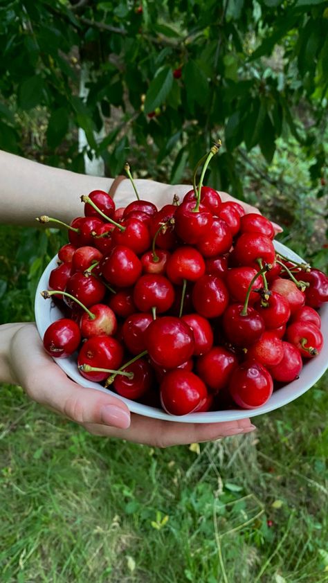 Romanian Summer Aesthetic, Romanian Snacks, Moldova Aesthetic, Romanian Summer, Slovakia Aesthetic, Romanian Aesthetic, Romania Aesthetic, Balkan Summer, Romania Food