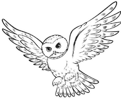 I want this carrying a letter with in memory of darryll written on it Harry Potter Clip Art, Harry Potter Coloring Pages, Owl Coloring, Harry Potter Owl, Owl Coloring Pages, Owl Images, Cartoon Coloring, Anniversaire Harry Potter, Theme Harry Potter