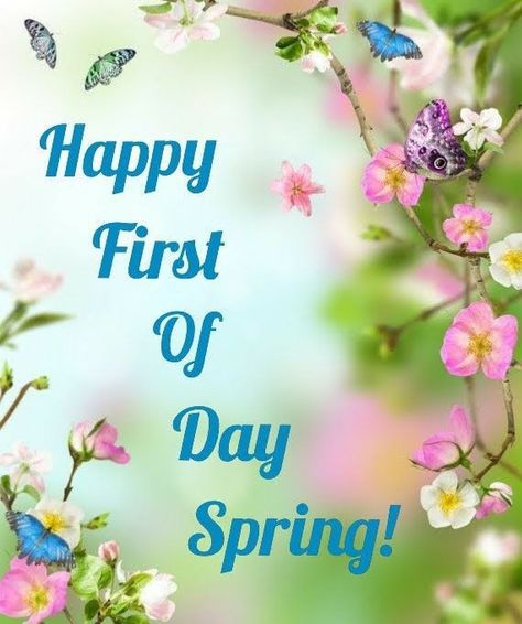 Happy Spring Images, Happy 1st Day Of Spring, Happy Spring Day, 1st Day Of Spring, Happy Birthday Cousin, Creative Alphabet, Happy First Day Of Spring, Spring Quotes, Spring Images