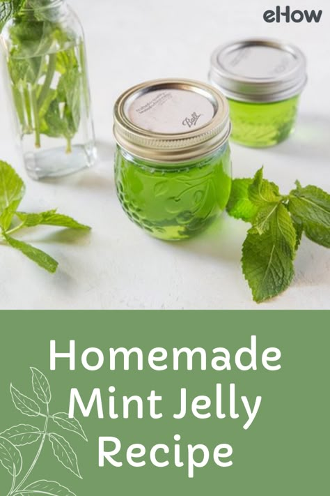 Canning Mint Jelly, How To Make Mint Jelly, Mint Infused Honey, How To Preserve Fresh Mint Leaves, Mint Jelly Uses, Mint Jam Recipe, How To Use Fresh Mint, Things To Do With Fresh Mint, Recipes Using Mint Leaves