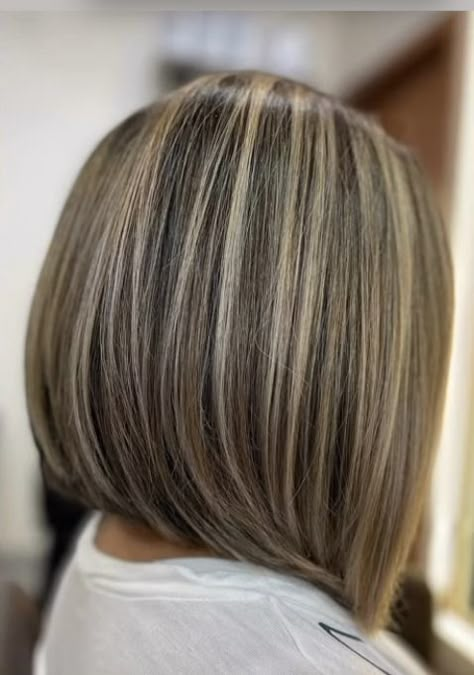 Brown Hair Highlights And Lowlights Caramel, Highlights Brown Hair Cool Tones, Highlights Brown Hair Balayage, Lisa Hair, Short Hair Highlights, Hair Tint, Bob Haircut For Fine Hair, Brown Hair With Blonde Highlights, Hair Color Light Brown